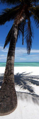 Sunny beaches are a global tourist attraction (Zanzibar)