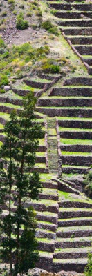 The incas built terraces for food (Peru)