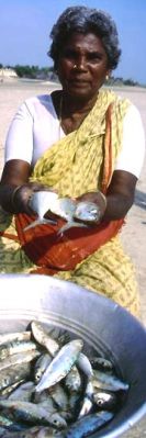 A fisher woman of Veerampattinam (India), one of the villages hard hit by the tsunami. 